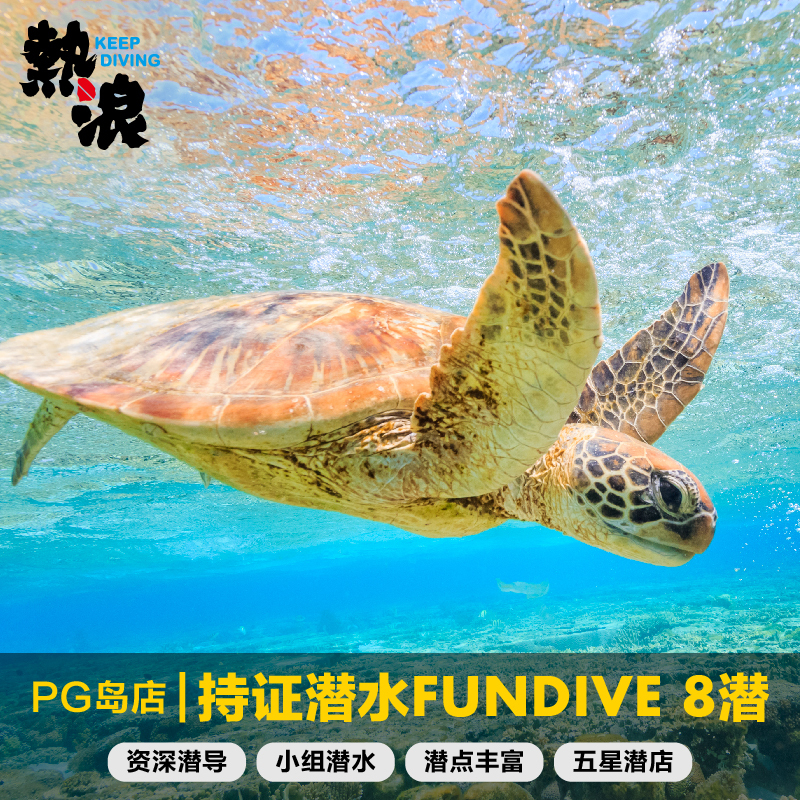 PG Island Dolphin Bay 8 Subs License Diving Philippines PADI Five Star Submarina Heatwave Diving