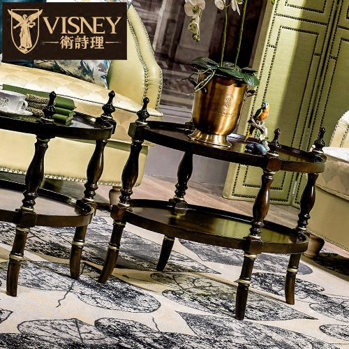 Visneyŷʽ�Ǽ�120CK