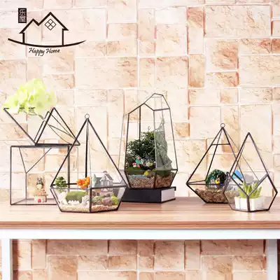 Geometric glass cover flower room small ornaments micro landscape succulent plant eternal vase creative jewelry craft basin