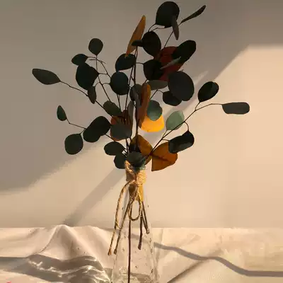 Dutch imported round leaf eucalyptus leaf vein pattern Yongshenghua high bouquet selection of leaf matching literary flower arrangement
