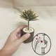 Caroline handmade hoa khô micro cảnh trang trí cảnh quan Giáng sinh hình nón thông đồ trang trí bằng gỗ pier DIY trang trí đồ trang trí cọc gỗ kệ tủ trang trí phòng khách Trang trí nội thất