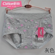 Caiti đồ lót nữ đôi màu sợi thoáng khí modal lady hoa 31155 eo 31156 eo cao không có dấu vết góc phẳng