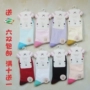 Vớ phụ nữ cô gái phi thường mùa xuân và mùa hè cotton mỏng của phụ nữ vớ trong ống vớ cotton cotton vớ của phụ nữ chải bông màu thủy triều - Bít tất nữ tất nữ Hàn Quốc bền đẹp