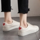 Giày nữ 2019 mới giày vải sinh viên nữ Phiên bản tiếng Hàn của giày ulzzang nhỏ màu trắng jordan dior cổ thấp Plimsolls