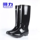 Kéo lại đi mưa ủng đi mưa ủng chống nước giày nam chống trượt ống cao trong ống ngắn bảo hiểm lao động nhà bếp giày cao su
