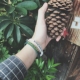 Châu Âu và Hoa Kỳ thời trang đường phố nhỏ thương hiệu tươi nhân đạo đức tin truyền cảm hứng dây đeo cổ tay silicone - Vòng đeo tay Clasp vòng pandora Vòng đeo tay Clasp
