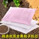 Vải sợ hạt vải Jingren Huang Jingzi số lượng lớn hạt giống Giang Giang sức khỏe Qing não ngủ gối gối phụ cát