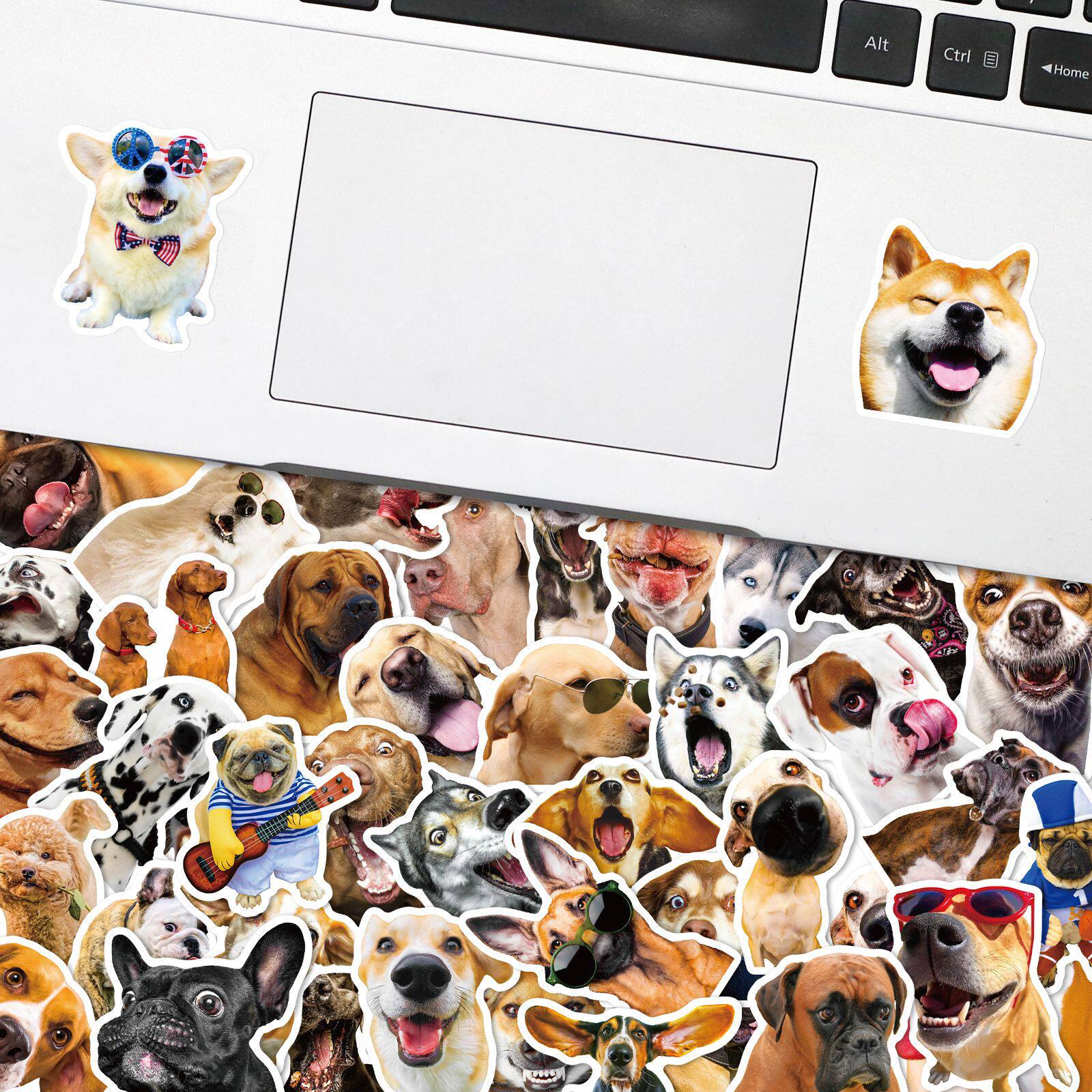 50 realistic dog stickers, cute animal pet collection, Shiba Inu cute golden retriever dog head expression pack illustration, Nordic style