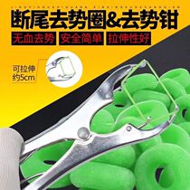 New tail-breaking castration pen for pigs cattle and sheep animal husbandry equipment for sheep tail-breaking castration pen bloodless castration pen