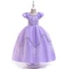 2023 Summer New Style Princess Sophia Dress Girls Dress Girls Summer Dress Mesh Skirt