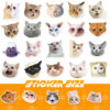 50 cat stickers, Internet celebrity cat expression packs, graffiti stickers, cross-border cute and funny cat head stickers