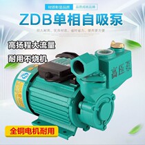 Household self-priming pump water tower high-rise water pump 220V tap water pipeline pressurized high-lift vortex booster pump