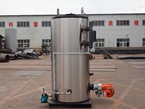 Vertical fuel steam generator 1T food bamboo shoot processing steam generator