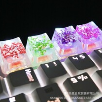 Drop glue DIY light transmission dry spline cap real flowers Snow Everest Mechanical keyboard keycap Original