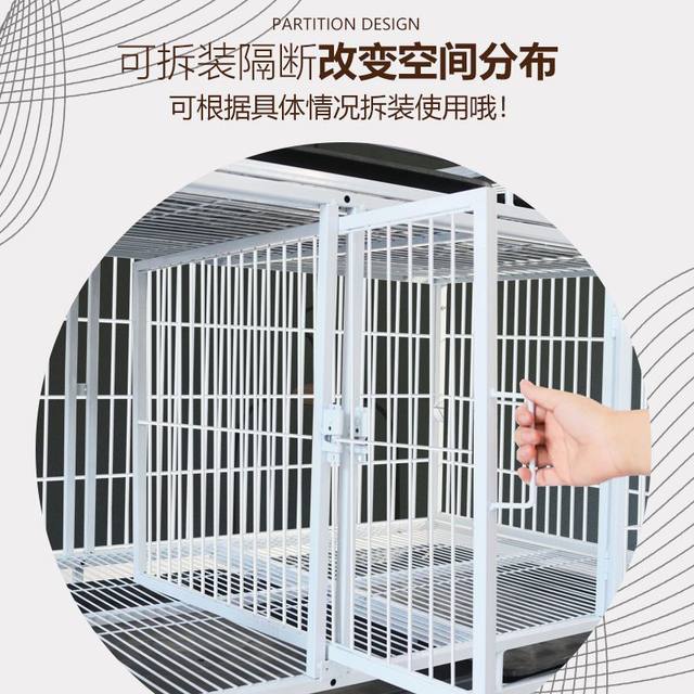cage cat, cage ການ​ປັບ​ປຸງ​ພັນ, cage ການ​ປັບ​ປຸງ​ພັນ, ເຮືອນ​ທີ່​ມີ partition, cage ການ​ປັບ​ປຸງ​ພັນ​ສາມ​ຊັ້ນ, ເຮືອນ cat, ຮ້ານ​ລ້ຽງ, cage foster, cage pigeon