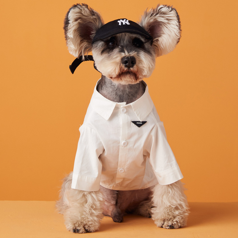 Summer Clothing for Small Dogs, Thin Solid Color Base Layer, Schnauzer, Pomeranian, Teddy, Bichon Pet White Shirt