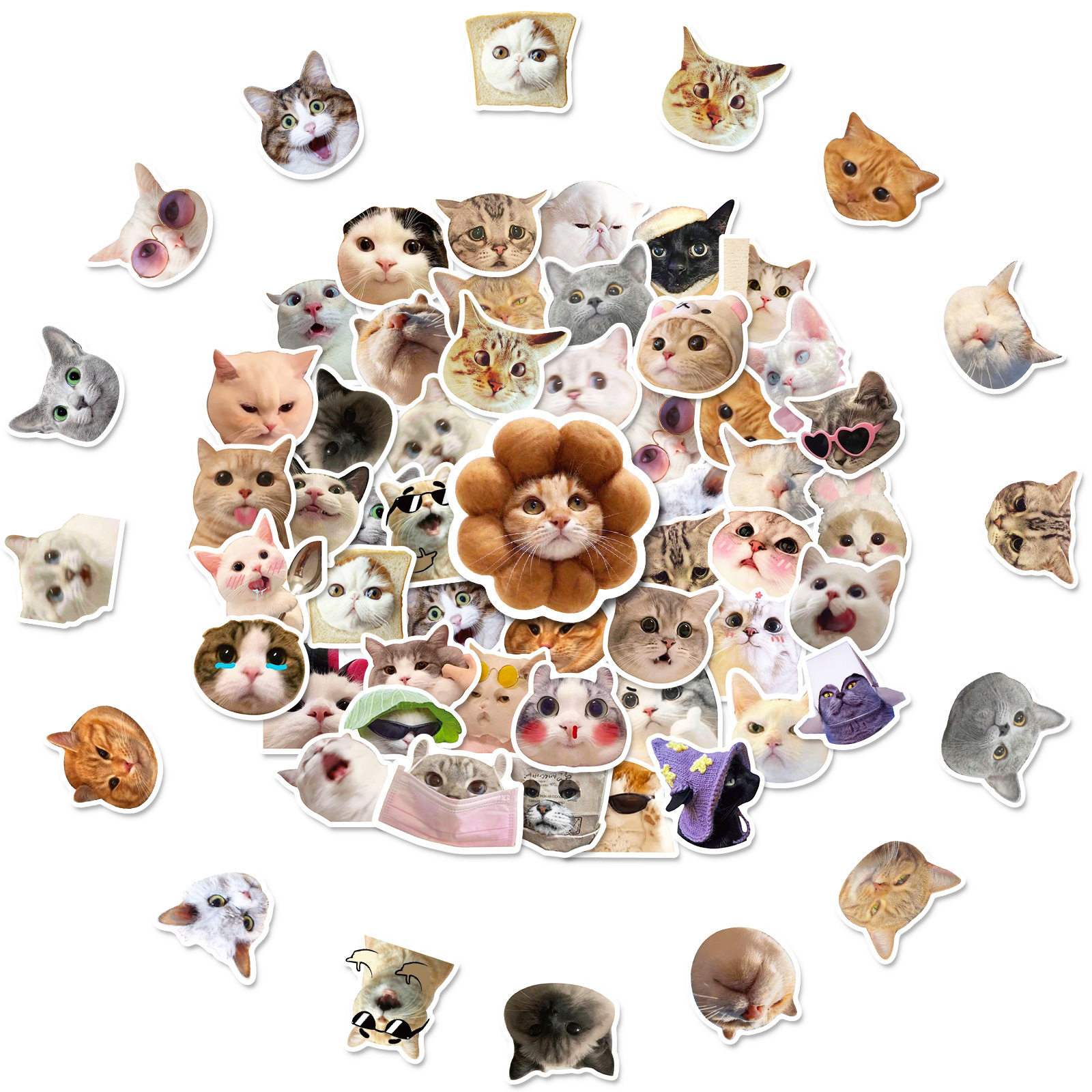 50 cat stickers, Internet celebrity cat expression packs, graffiti stickers, cross-border cute and funny cat head stickers