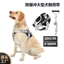 Chien de traction de chiens dans une grande canine anti-explosion poinçonner les chiens de style veste hors du chemin pour marcher sur les cordes de chien
