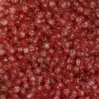 10 -миллиметровый цветочный/горячий закат полфунта упаковки