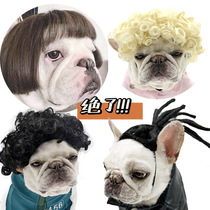 Pets dogs wigs accessories curly-haired straight-haired cats Teddy golden retriever bullfighting funny jokes and photos