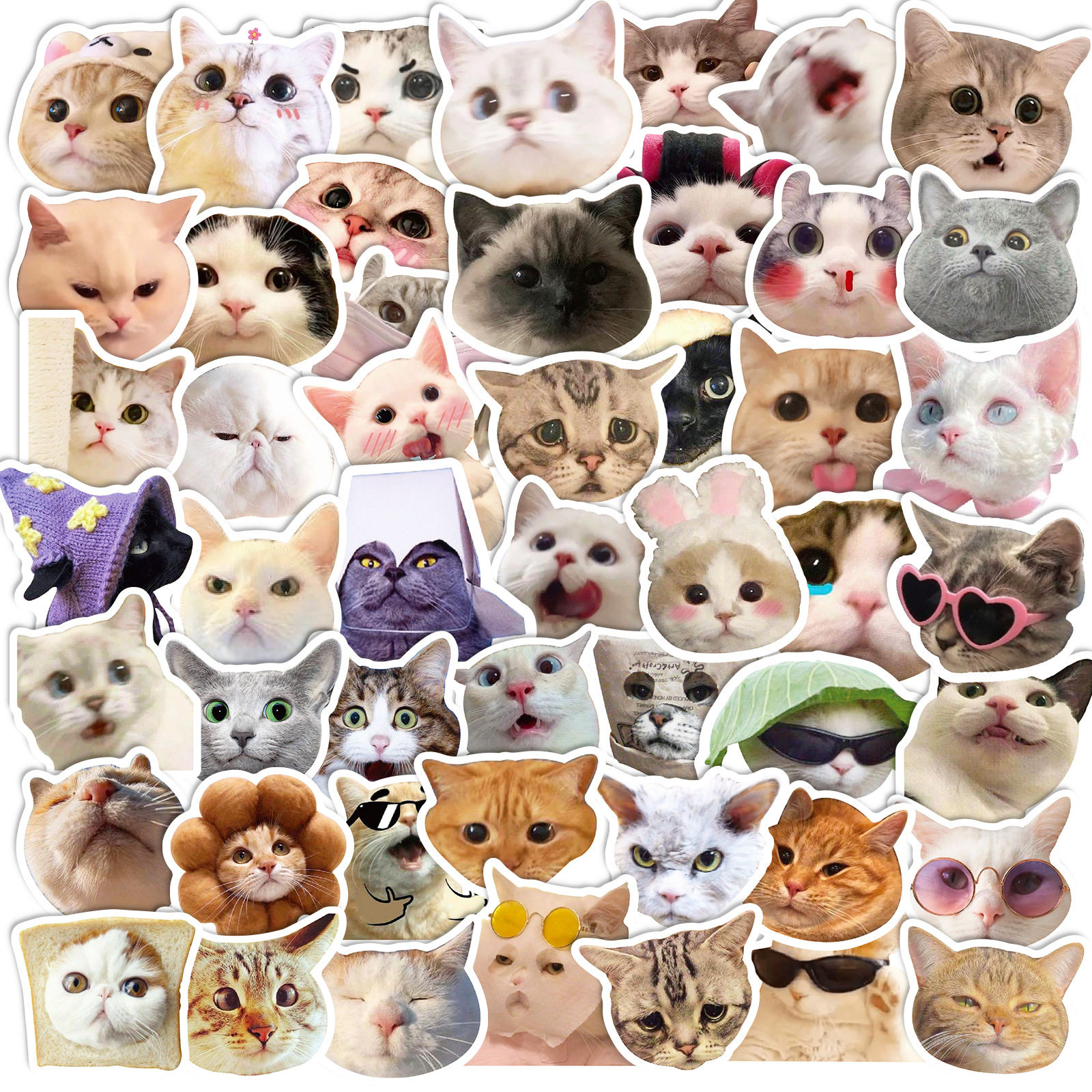 50 cat stickers, Internet celebrity cat expression packs, graffiti stickers, cross-border cute and funny cat head stickers