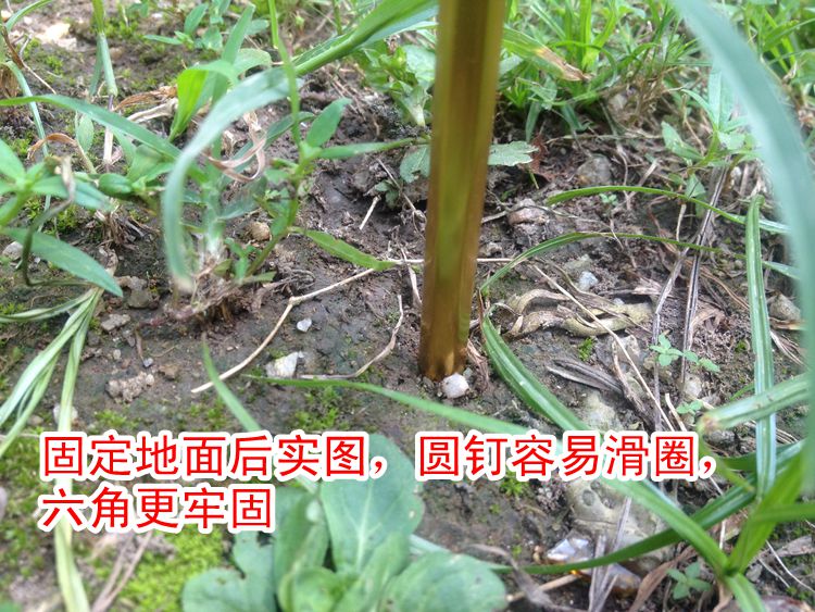 Cung cấp đặc biệt đinh lục giác đinh Đinh đinh nhôm hợp kim Dice hình kim cương Xúc xắc lều cường độ cao phụ kiện đinh - Lều / mái hiên / phụ kiện lều lều bạt vuông