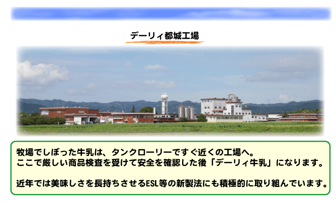 日本進口代購霧島山麓牛乳3 02賞期霧島高級牛奶0ml 整箱現貨