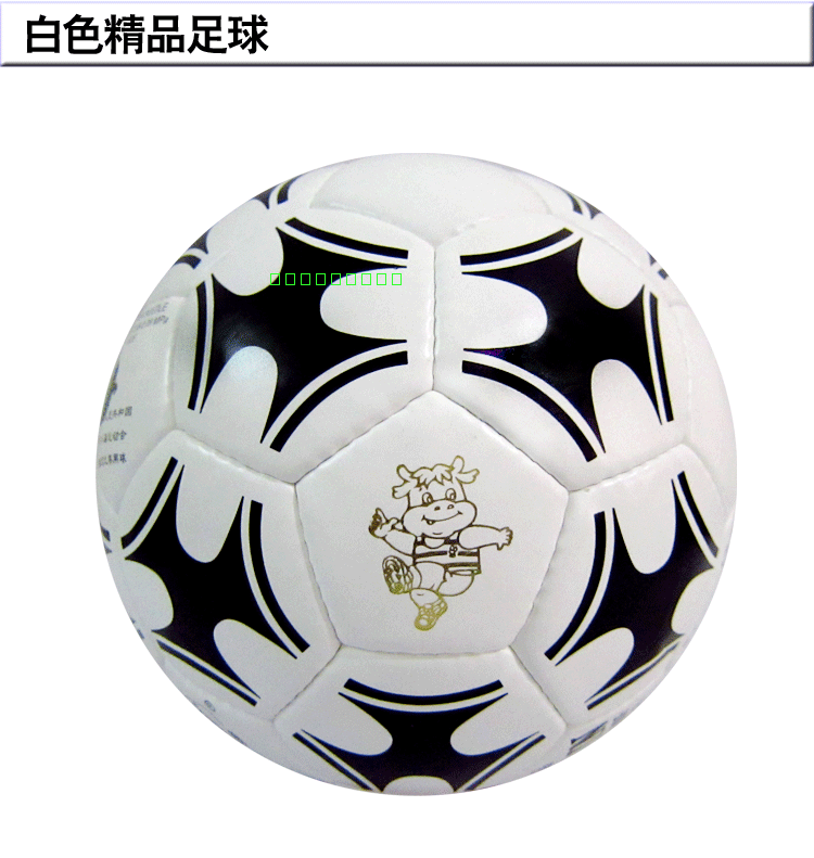 Ballon de foot - Ref 7656 Image 21