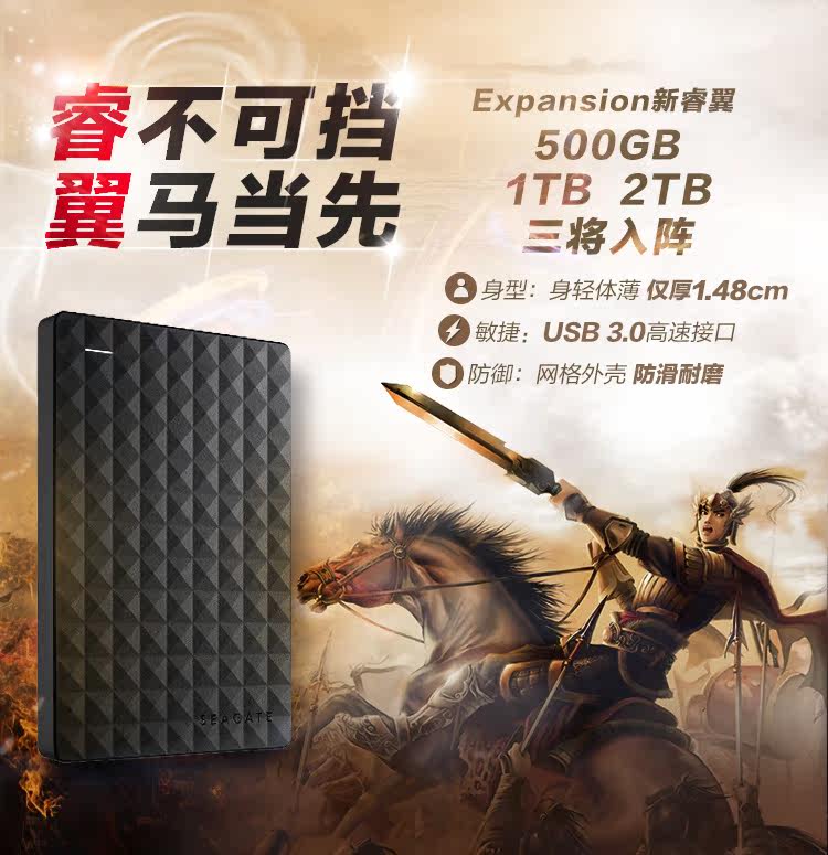 2015 Ruiyi 500G