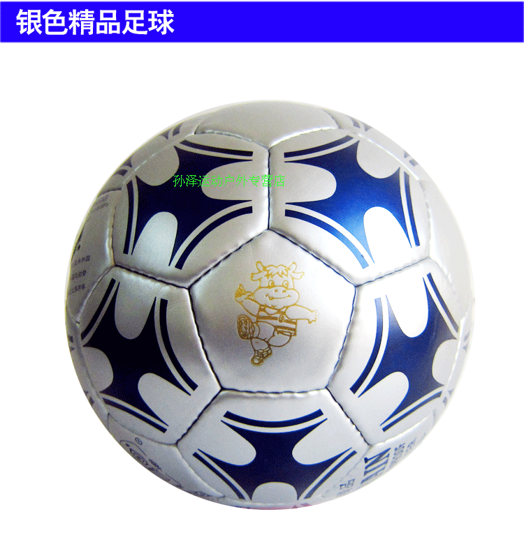 Ballon de foot - Ref 7656 Image 14