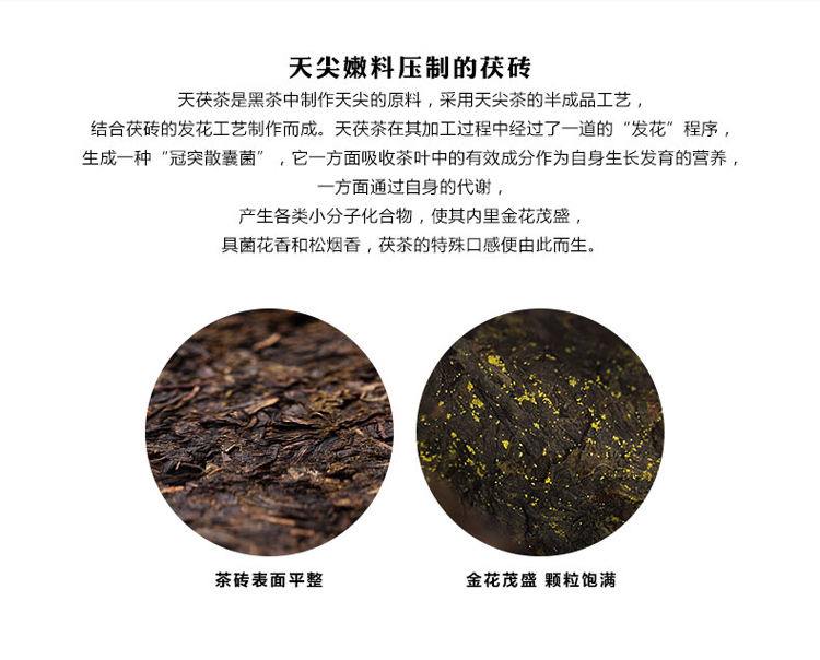 中国黑茶老字号 白沙溪 一级天茯茶 安化黑茶 1000g 图5