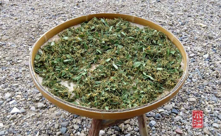 mmexport1463237599462_dat .jpg