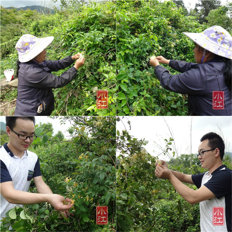 DSC04600_DEX_DAT 2.JPG 2.JPG