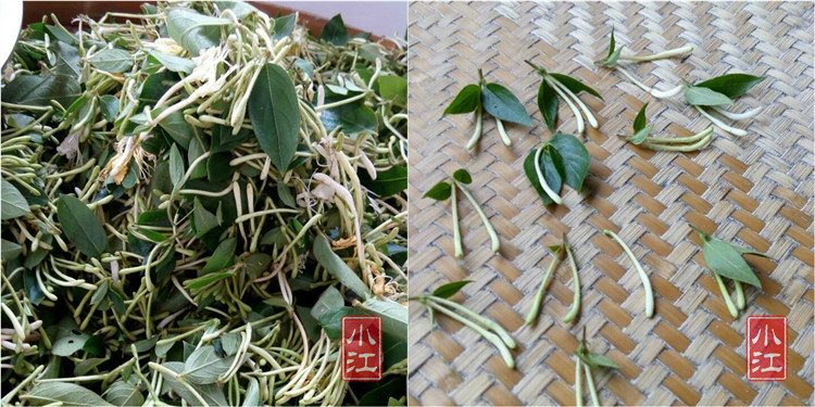 mmexport146323761157_dat .jpg