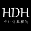 hdh旗舰店