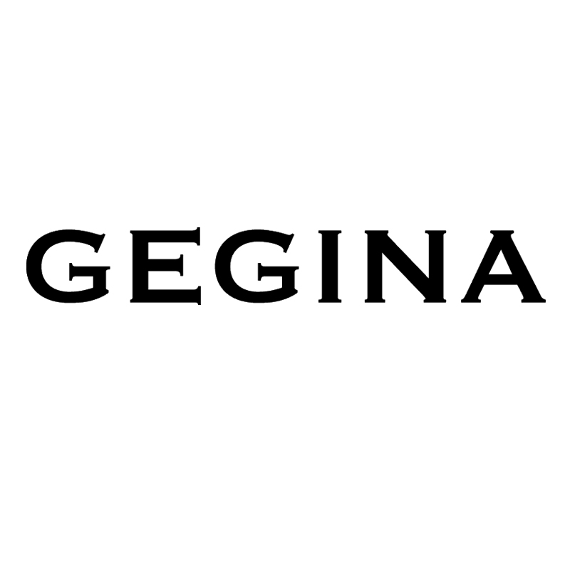 GEGINA女装旗舰店