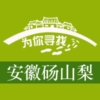 为你寻找旗舰店