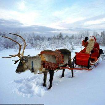 Sonnette de vélo bell Compass - Ref 1456156 Image 20