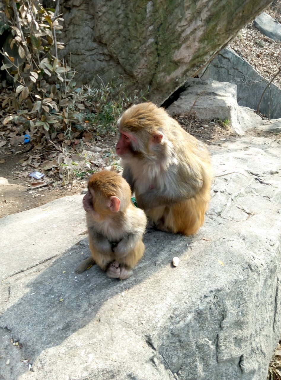 爱打扮(www.idaban.cn)，爱吃豆豉划水的小仙子