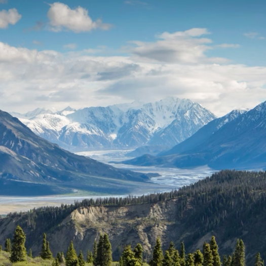 赛博徒步的图标