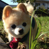 Pantalon pyjama - Ref 729649 Image 39