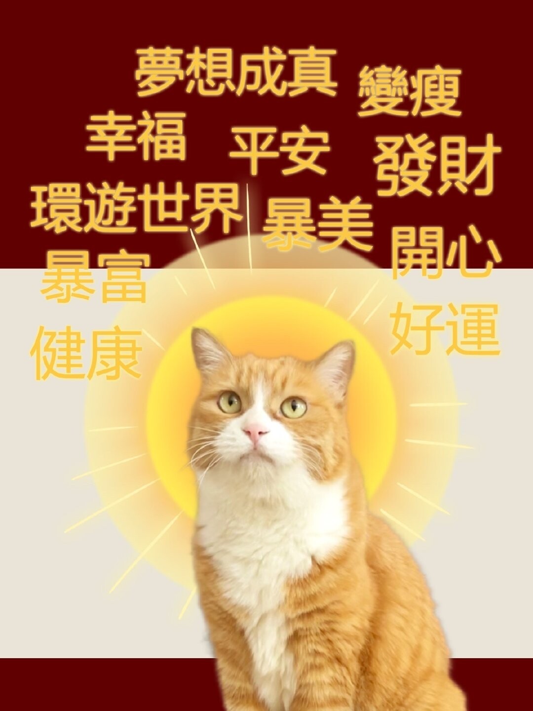 爱打扮(www.idaban.cn)，不爱香菜的猫咪