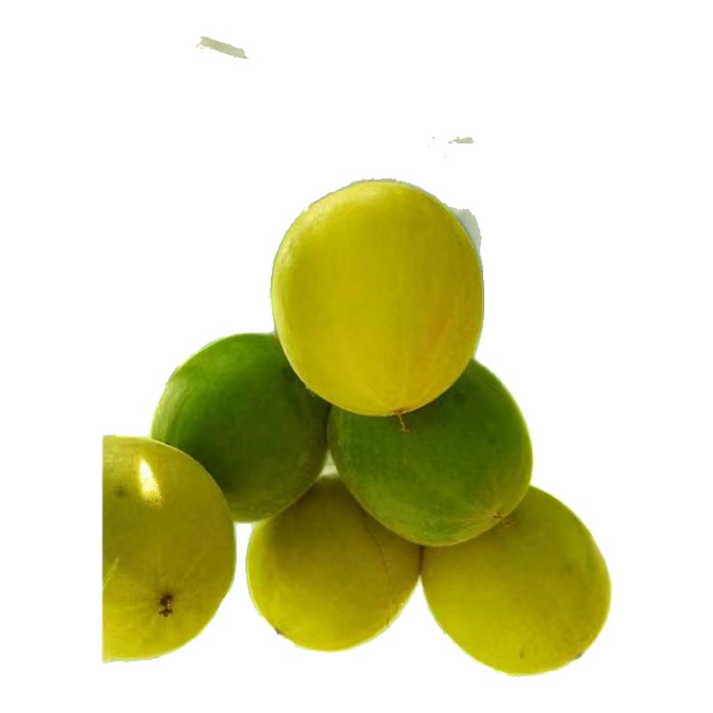 罗汉果茶干果广西桂林批发搭配胖大海枇杷金银花泡茶