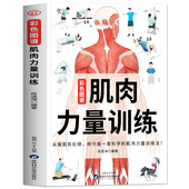 健身教程教练体能减脂肌肉健美训练 肌肉力量训练解刨图谱 人体肌肉结构解剖健身书籍肌肉力量训练图谱 肌肉力量训练彩色图谱正版