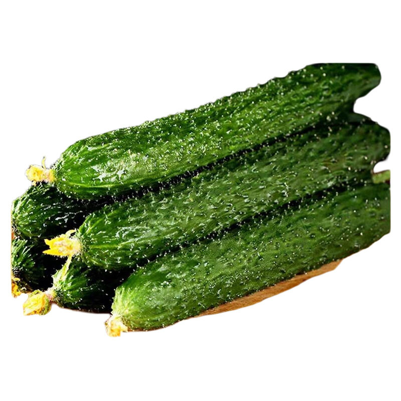 寿光新鲜刺黄瓜新鲜生吃带刺黄瓜农家种植当季绿心优质新鲜蔬菜