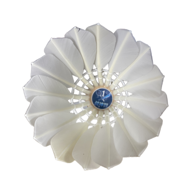 【国青限定版】战神羽羽毛球战神1号8号比赛训练球稳定耐打鹚鸪鸭,运动/瑜伽/健身/球迷用品,羽毛球,淘宝优惠券,粉丝福利购,淘宝优惠卷