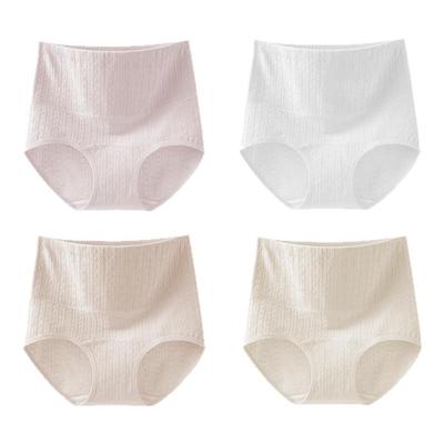 A类医用棉-芬腾高腰收腹抗菌内裤