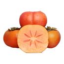 应季 包邮 特大脆甜柿子火晶柿10 整箱 巧克力脆柿子水果新鲜5斤当季