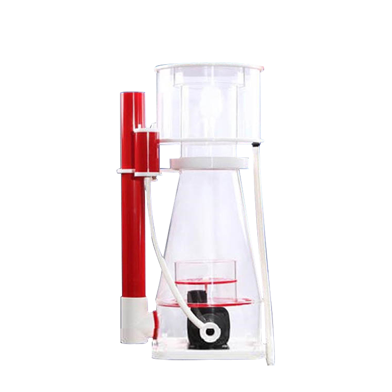 红海星蛋分鱼缸蛋白质分离器