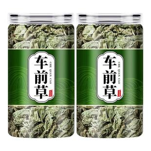 车前草野生中药材正品500g干货官方旗舰店干车前草新鲜袋泡茶泡水